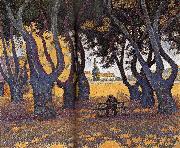 Paul Signac Chinar oil painting picture wholesale